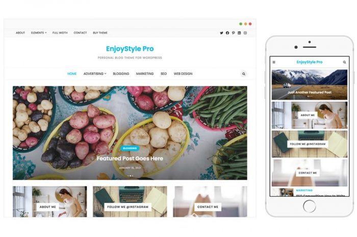 EnjoyStyle Pro WordPress Theme by WPenjoy