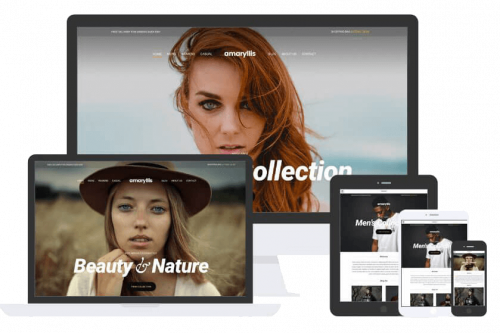 Amaryllis Theme by Css Igniter Themes