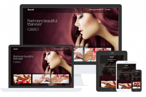Beaute Theme by Css Igniter Themes