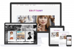 Brittany Theme by Css Igniter Themes