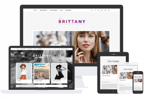 Brittany Theme by Css Igniter Themes