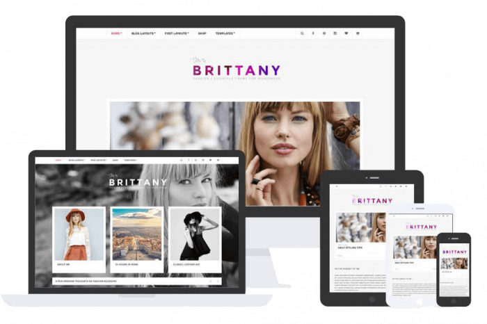 Brittany Theme by Css Igniter Themes