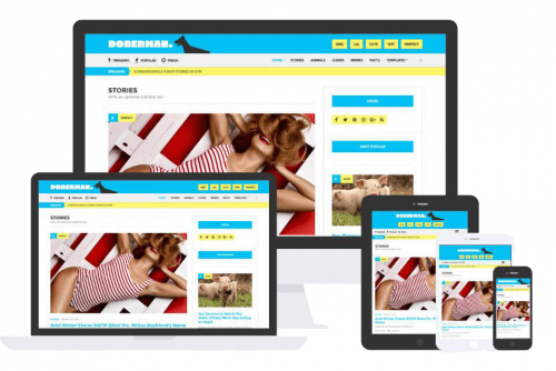 Doberman Theme by Css Igniter Themes