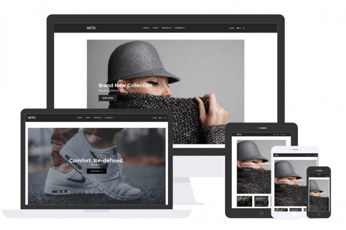 Neto Theme by Css Igniter Themes