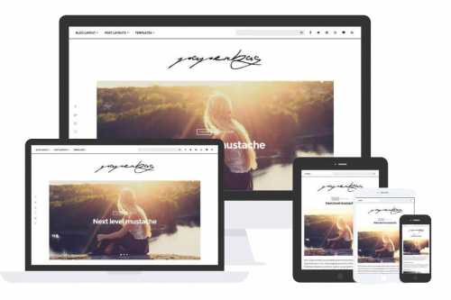 Paperbag Theme by Css Igniter Themes