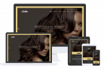 Salon Theme by Css Igniter Themes