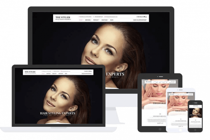 The Styler Theme by Css Igniter Themes