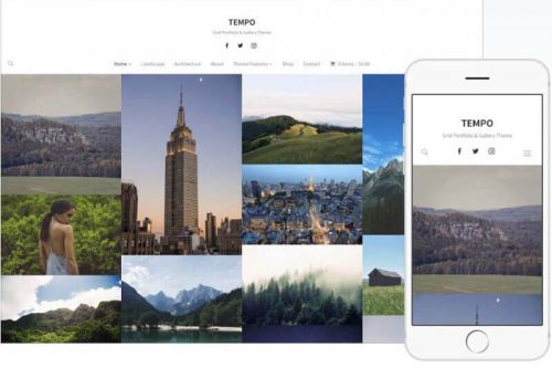 Tempo Wordpress Theme by WPZOOM