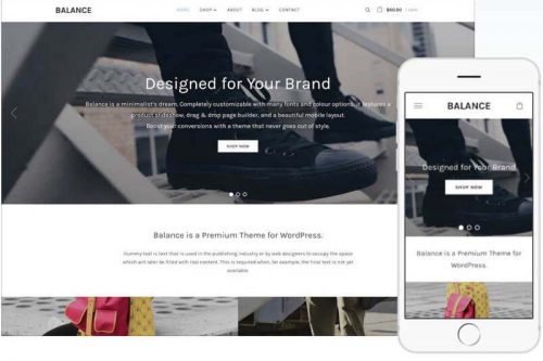Balance Wordpress Theme by WPZOOM