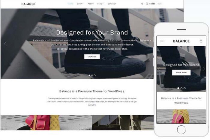 Balance Wordpress Theme by WPZOOM