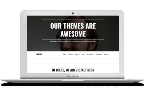 SINGLE Wordpress Theme by ZigZagPress