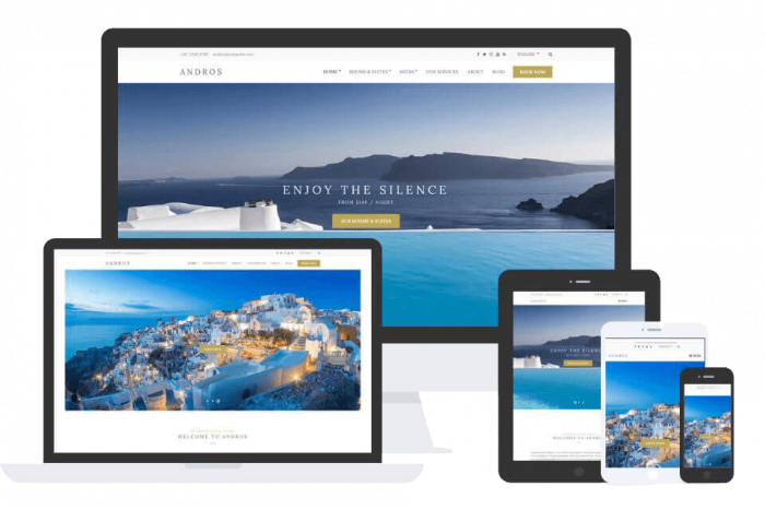 Andros Theme by Css Igniter Themes