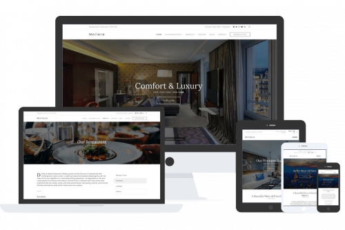 Moliere Theme by Css Igniter Themes