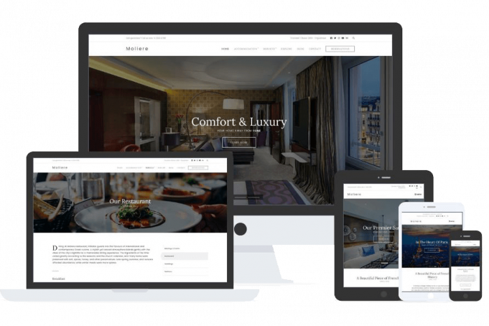 Moliere Theme by Css Igniter Themes