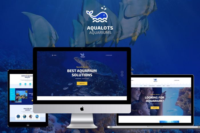 Aqualots Theme by ThemeRex