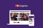 Lingvico Theme by ThemeRex
